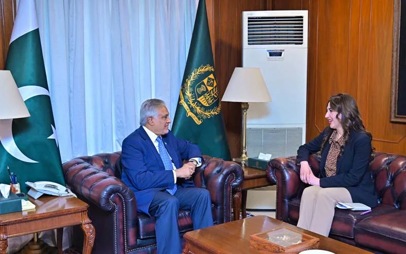 جنگ بندی میں توسیع پر غور کیا جائے، اسحاق ڈار کی امریکی ناظم الامور سے گفتگو