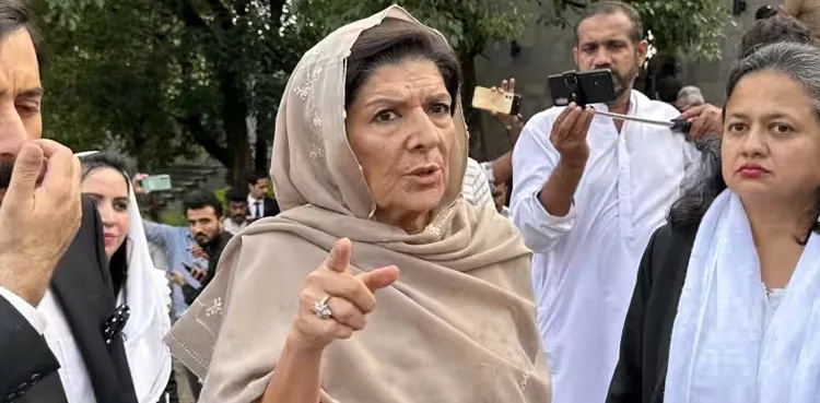 علیمہ خان کا بڑا الزام، بیرسٹر گوہر اور سہیل آفریدی نے خفیہ طور پر محسن نقوی سے ملاقات کی