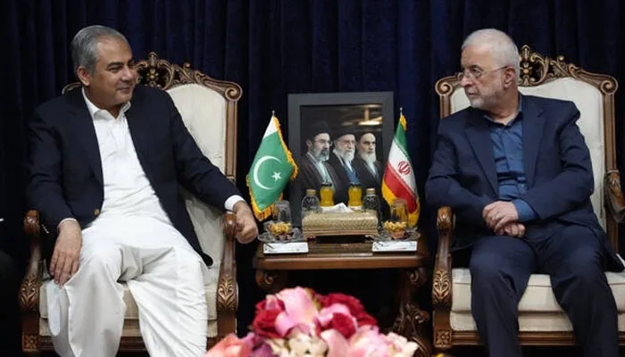 مجتبیٰ خامنہ ای کے لیے فیلڈ مارشل کا خصوصی خط اور وزیراعظم کا پیغام لایا ہوں، محسن نقوی