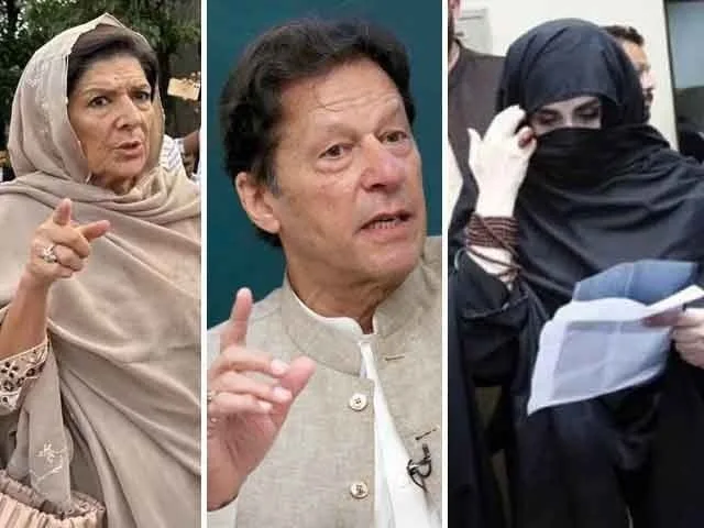 عمران خان کو 22 اور بشریٰ بی بی کو 24 گھنٹے قیدِ تنہائی میں رکھا جا رہا ہے، علیمہ خان کی اسلام آباد ہائی کورٹ سے رجوع