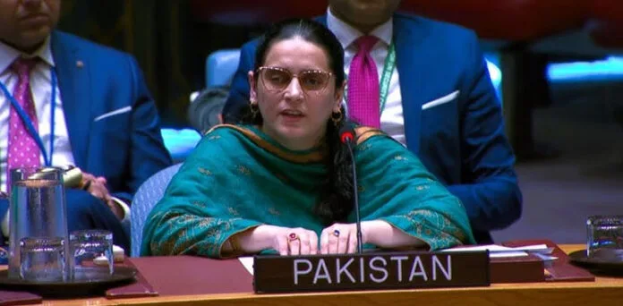 جموں و کشمیر بھارت کا اٹوٹ انگ نہیں بلکہ متنازع علاقہ ہے، پاکستان کا سلامتی کونسل میں دوٹوک مؤقف