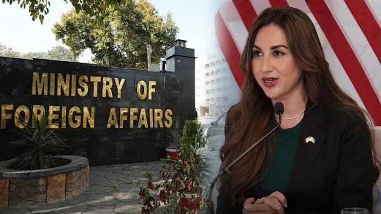 پاکستان کا مقبوضہ کشمیر سے متعلق امریکی بیان پر امریکی ناظم الامور کو ڈی مارش