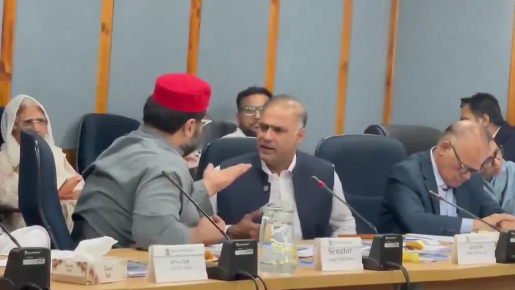 قائمہ کمیٹی اجلاس میں عابد شیر علی اور ایمل ولی خان کے درمیان تلخ جملوں کا تبادلہ