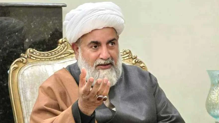 مذاکرات میں حکومتی وفد نے سیاسی اور دہشتگردی کے معاملات کو جوڑ دیا: علامہ ناصر عباس