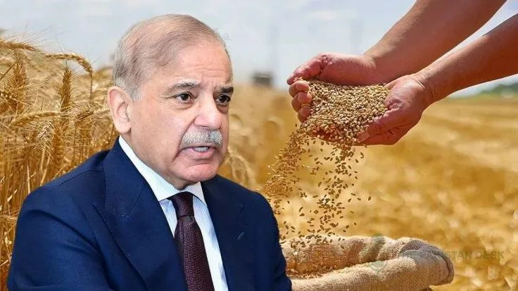 وزیراعظم نے 2027 کے لیے گندم کی مجوزہ قیمت 4,500 روپے فی من مقرر کر دی
