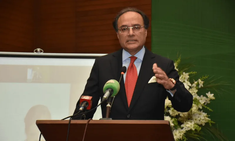 عالمی تنازعات سے اشیائے ضروریہ مہنگی ہونے کا خدشہ ہے، وزیر خزانہ